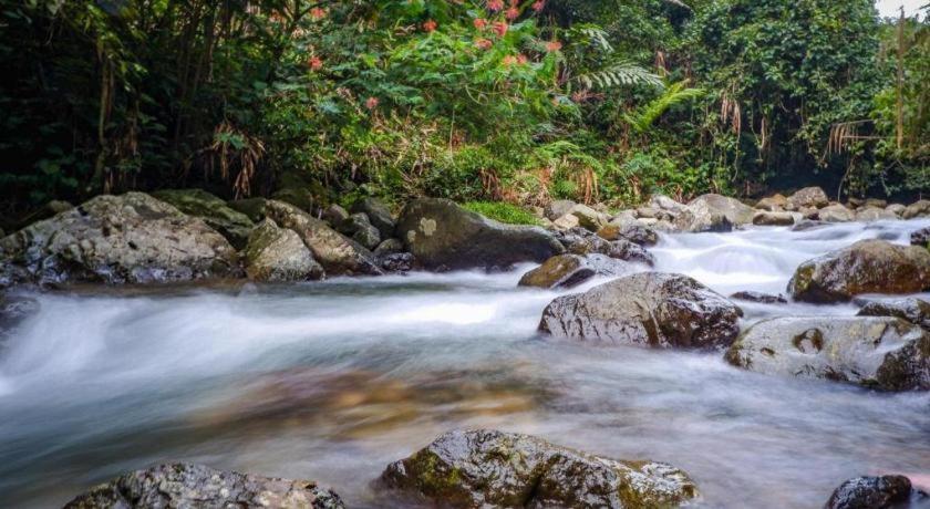 Hotel Pondok Remaja Pgi Puncak Dış mekan fotoğraf